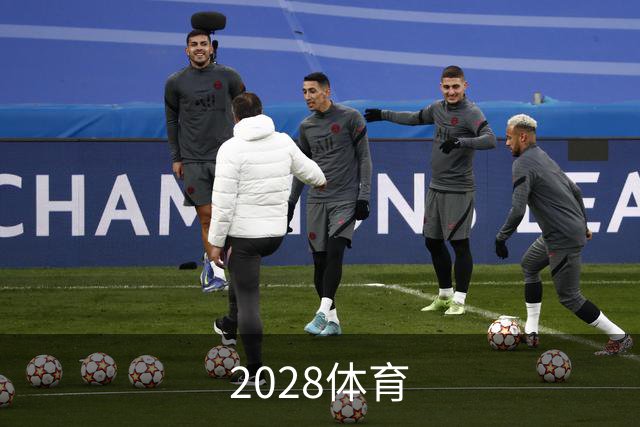 关于2028体育